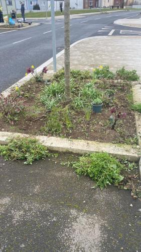 IMG-20250314-WA0185